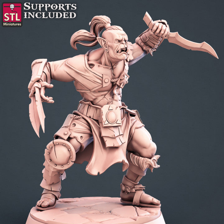 Warriors Set
