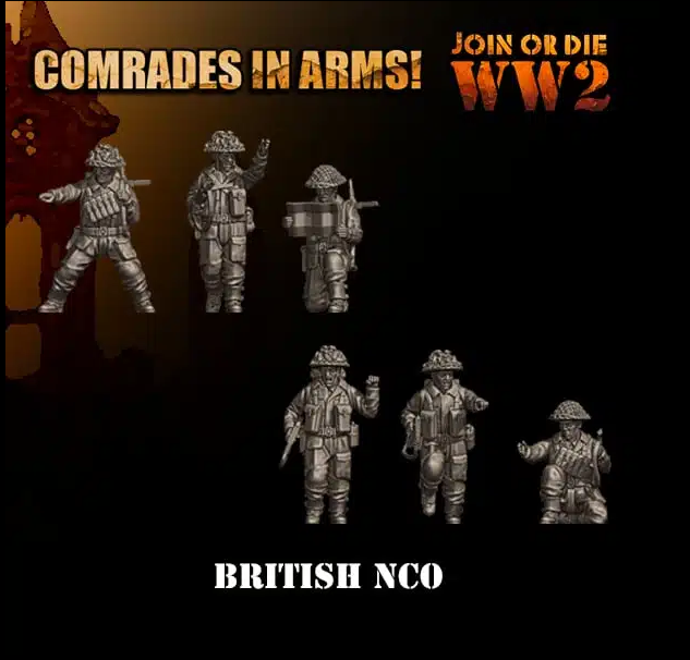 Commonwealth Infantry NCOs