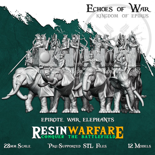 Epirote Elephants with howdah