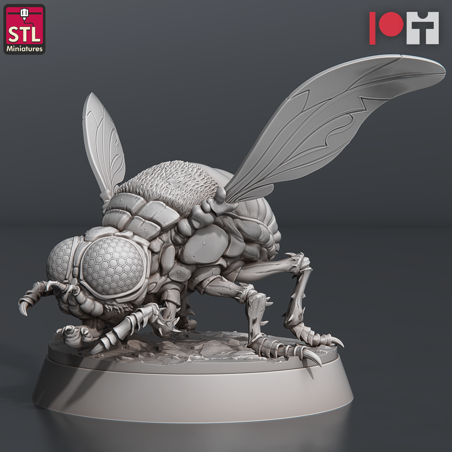 Giant Flies