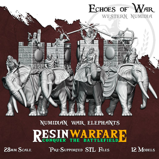 Numidian Elephants with howdah