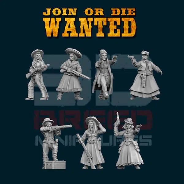 Armed Ladies of the Old West