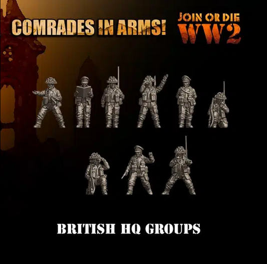 Commonwealth Infantry Observers