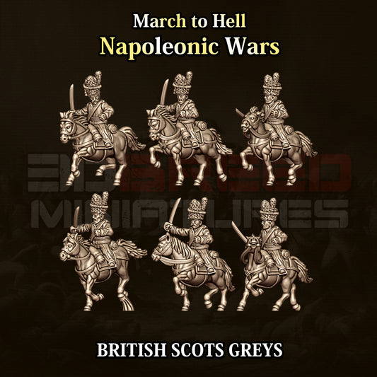 British Scots Greys