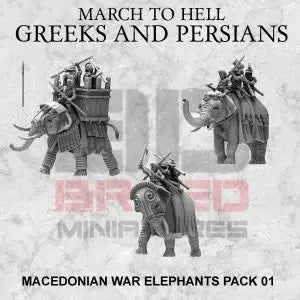 Macedonian war elephants