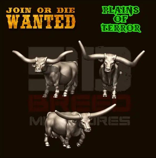 Long Horn Cows
