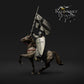 Military Order Standard Bearer