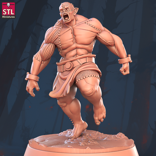 Flesh Golem